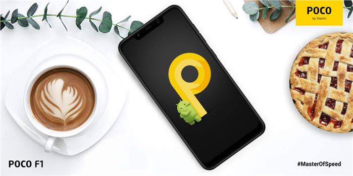 هاتف Poco F1 يستقبل تحديث Android 9 Pie