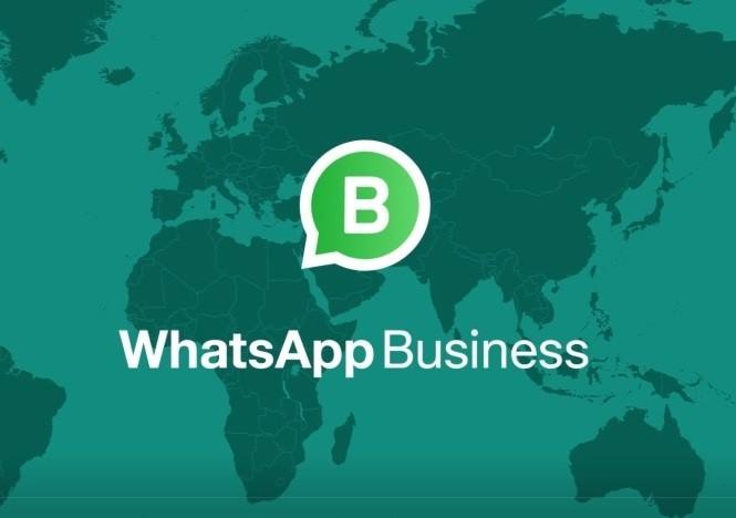 أخيرا تطبيق WhatsApp Business متاح الأن لنظام التشغيل ios