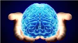 حقائق علمية لا تعرفها عن العقل