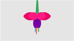 جوجل: نظام فوشيا منفصل عن أندرويد