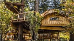 منازل على الأشجار متعة جديدة من مايكروسوفت لموظفيها