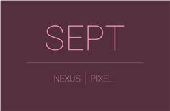 جوجل وإسينشال يوفروا التحديث الأمني لشهر سبتمبر لهواتفهم