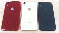 هاتف iPhone Xr سيتوفر بكميات محدودة بسبب مشاكل في تصنيع الشاشة