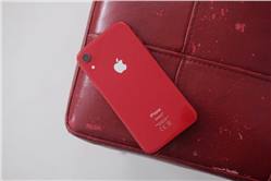 الهاتف iPhone XR هو الهاتف الأكثر مبيعا للربع الثانى من عام 2019 في الولايات المتحدة